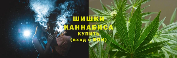 гидра Елизово