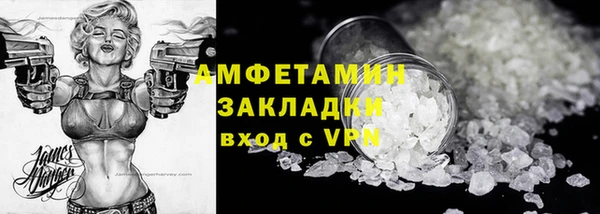 гидра Елизово