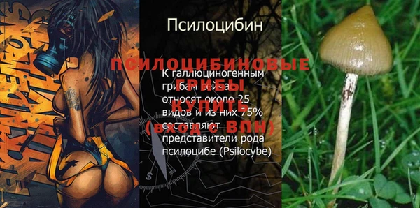 каннабис Елабуга