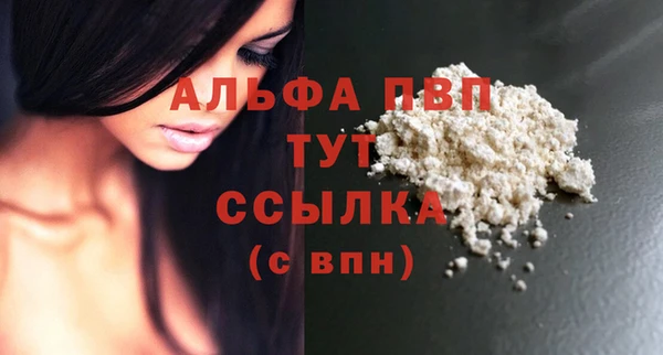 гидра Елизово