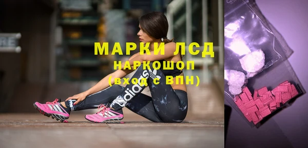гидра Елизово