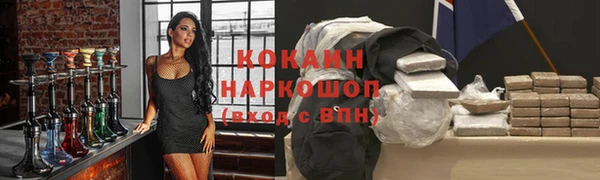 гидра Елизово