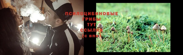 кокаин Ельня