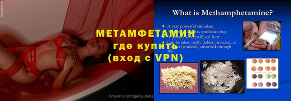 гидра Елизово