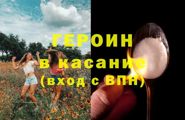 гидра Елизово