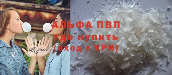 гидра Елизово