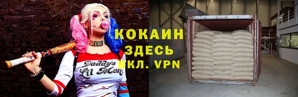 гидра Елизово